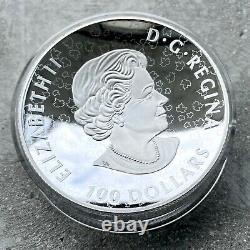 2019 Canada 10 oz. 9999 Fine Silver Coin $100 Double Concave Piedfort Brown Bear