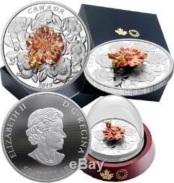 2019 The Bumble Bee and the Bloom $50 5OZ Pure Silver Proof 65.25mm Canada Coin