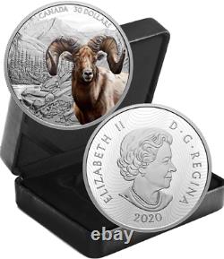 2020 Bighorn Sheep $30 2OZ Pure Silver Proof Coin Canada Imposing Icon