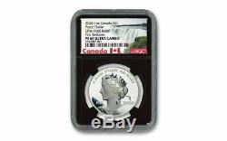 2020 Canada 1 oz Ultra High Relief Silver Peace Dollar Proof $1 Coin NGC PF69 UC