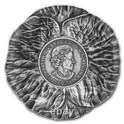 2020 Canada Silver $20 Remembrance Day Proof SKU#218441