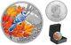 2021 BLUE JAY Colourful Birds 1oz Silver Proof Coin $20 Canada RCM