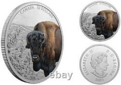 2021'Bison -Imposing Icons' Proof $30 Fine Silver 2oz. Coin (RCM 200682)(20213)