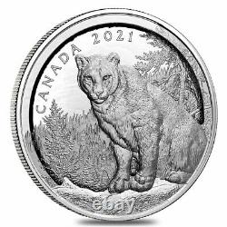 2021 Canada 3.4 oz Multilayered Cougar Proof Silver Coin. 9999 Fine withBox & COA