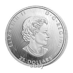 2021 Canada Buffalo Extraordinary High Relief 1 oz Silver Proof $25 Coin GEM