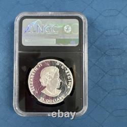 2021 Canada Silver $25 Buffalo Extraordinary High Relief NGC PF70 Signed FDOI