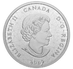 2022 Canada 2oz $30 Silver Proof Multifaceted Animal Family Bald Eagle RCM Coin