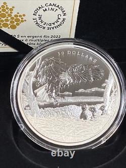 2022 Canada 30$ 50mm 9999 Multifaceted Animal Family Bald Eagle Proof Coin