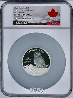 2022 Canada $30 Snowy Owl on Driftwood 2 Oz Silver Coin NGC PR70UCAM FR 9999