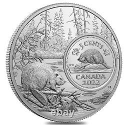 2022 Canada 5 oz Proof Silver The Bigger Picture The Beaver 5C Coin. 9999 Fine