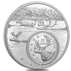 2022 Canada 5 oz Proof Silver The Bigger Picture The Caribou 25C Coin. 9999