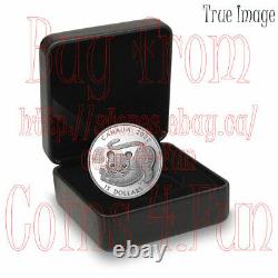2022 Lunar Year of the Tiger $15 Pure Silver Proof Coin Canada