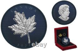 2022'Maple Leaves in Motion' Proof $50 Fine Silver Coin(RCM 202527)(20284) OOAK
