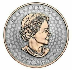 2022 Super Incuse Silver Maple Leaf SML $20 Pure Silver Proof Coin Canada