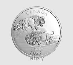 2022 The Mighty Bison 2oz Proof Coin. 9999 Fine Silver New Mint Condition