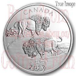 2022 The Mighty Bison $30 2 OZ Pure Silver Proof Coin Canada
