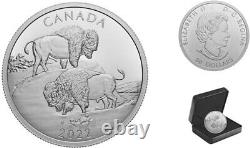 2022'The Mighty Bison' Proof $30 Silver Coin 2oz. 9999 Fine(RCM 204331) (20505)