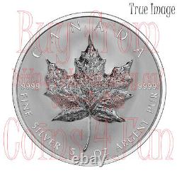 2022 Ultra-High Relief Silver Maple Leaf UHR SML $50 5 OZ Pure Silver Proof Coin