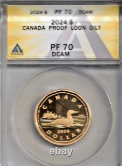 2024 $1 Canada Gilt Silver Proof Loonie Anacs Pf70 Loon New Effigy