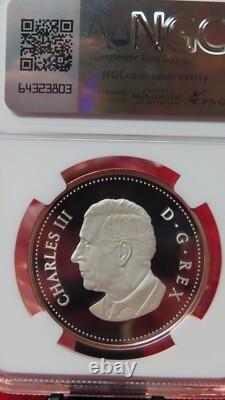 2024 $1 Canada Silver Gilt Rose Gold Dollar Proof Ngc Pf69 Maple Leaf Air Force