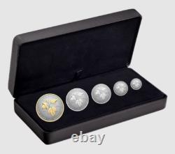 2024 CANADA Fractional Fine silver 5 x SML coin set 99.99% silver- Autumn Beauty