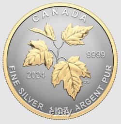 2024 CANADA Fractional Fine silver 5 x SML coin set 99.99% silver- Autumn Beauty