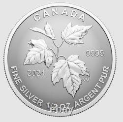 2024 CANADA Fractional Fine silver 5 x SML coin set 99.99% silver- Autumn Beauty