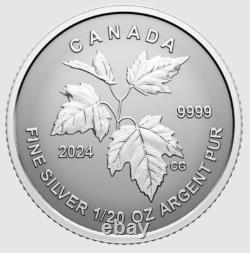 2024 CANADA Fractional Fine silver 5 x SML coin set 99.99% silver- Autumn Beauty