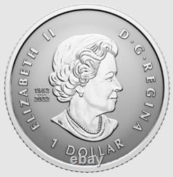 2024 CANADA Fractional Fine silver 5 x SML coin set 99.99% silver- Autumn Beauty