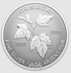 2024 CANADA Fractional Fine silver 5 x SML coin set 99.99% silver- Autumn Beauty