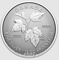 2024 CANADA Fractional Fine silver 5 x SML coin set 99.99% silver- Autumn Beauty