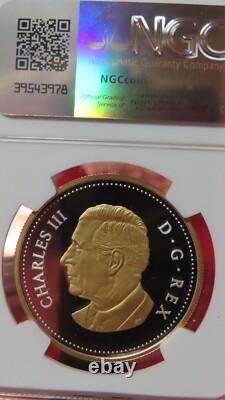 2025 $1 Canada Gilt Silver Dollar Proof Ngc Pf69 Tomb Of The Unknown Soldier Fr