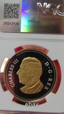 2025 $1 Canada Gilt Silver Dollar Proof Ngc Pf69 Tomb Of The Unknown Soldier Fr