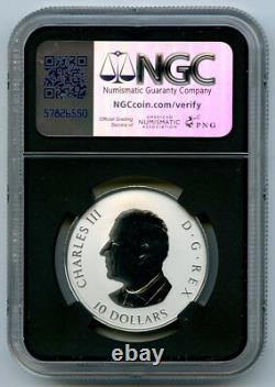 2025 $10 Canada. 9999 Silver Ngc Rev Proof Pf70 Gleaming Maple Leaf Leaves Fr