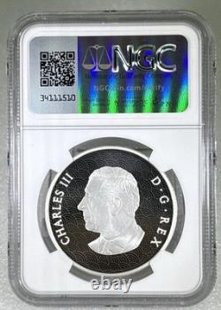 2025 $15 Canada 1oz Silver Proof Year Of The Snake Ngc Pf 70 First Releases