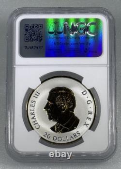 2025 $20 Canada 1 Oz Silver Gilt Ngc Pf70 Celebrate Love Proof First Releases