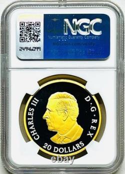 2025 $20 Canada 1 Oz Silver Proof Gilt Ngc Pf70 Animal Portrait Polar Bear Fr