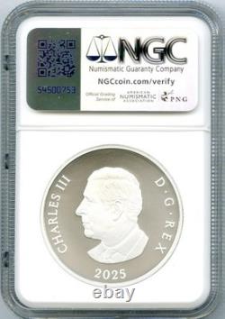 2025 $20 Canada 1oz Silver Proof Matte Ngc Pf70 Williamson Diamond Brooch Fr