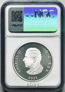 2025 $20 Canada 1oz Silver Proof Matte Ngc Pf70 Williamson Diamond Brooch Fr