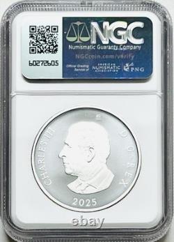 2025 $20 Canada 1oz Silver Proof Ngc Pf70 Matte Williamson Diamond Brooch Fr