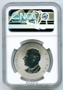 2025 $20 Canada Silver Reverse Proof Ngc Pf70 Remembrance Day Poppy Fr