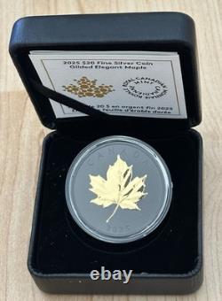 2025 Canada Elegant Maple 1 oz Silver Gilded Matte Proof Rhodium BOX COA NEW