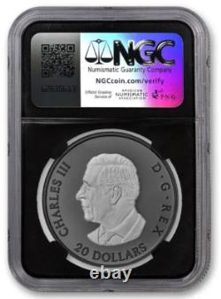 2025 Canada Elegant Maple Leaf Black Rhodium 1 Oz Silver NGC PF70 Coin JR083