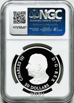 2025 Canada Moon Sky Raven $20 Silver Holographic Proof Ngc Pf69 Fr Pop=17