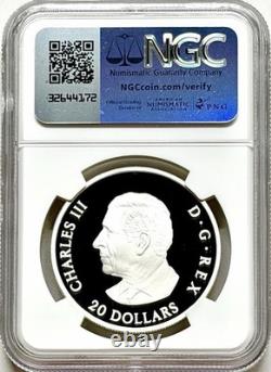 2025 Canada Moon Sky Raven $20 Silver Holographic Proof Ngc Pf69 Fr (pop=17)