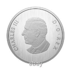 2025 Proof $50 Canadian Silver Heraldic Bear OGP & COA