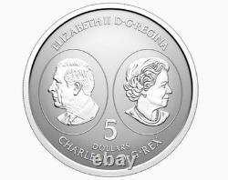 2026 $5 Canada 1oz Silver Qeii Centenary Maple Leaf Ngc Pf70 Reverse Proof Fr