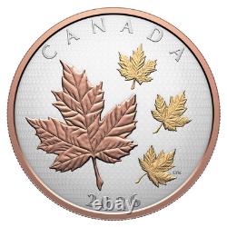 2026 Canada $50 Maple Leaves in Motion 5 oz Fine Silver Coin