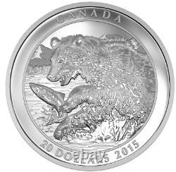3 x 1 oz Proof Fine Silver Coin Grizzly Bear The catch Togetherness Family
