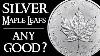 Are Canadian Silver Maple Leaf Coins Good For Silver Stacking